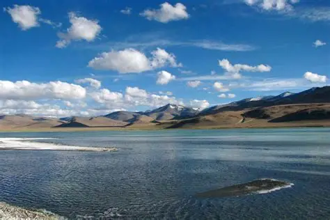 Ladakh Calling